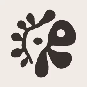 Lullaby Lyrics | CORTIS