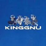 King Gnu中文歌詞翻譯 + 羅馬拼音 Lyrics translation